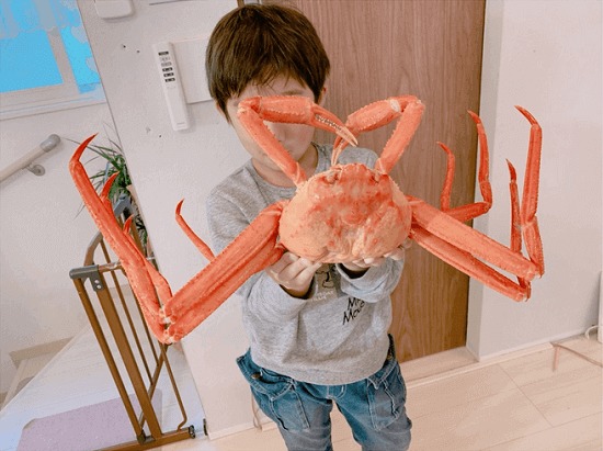 【辻希美】『めっちゃ大きなズワイ？蟹が届いたょーっ。やば〜い！！やば〜い！！』➝炎上www