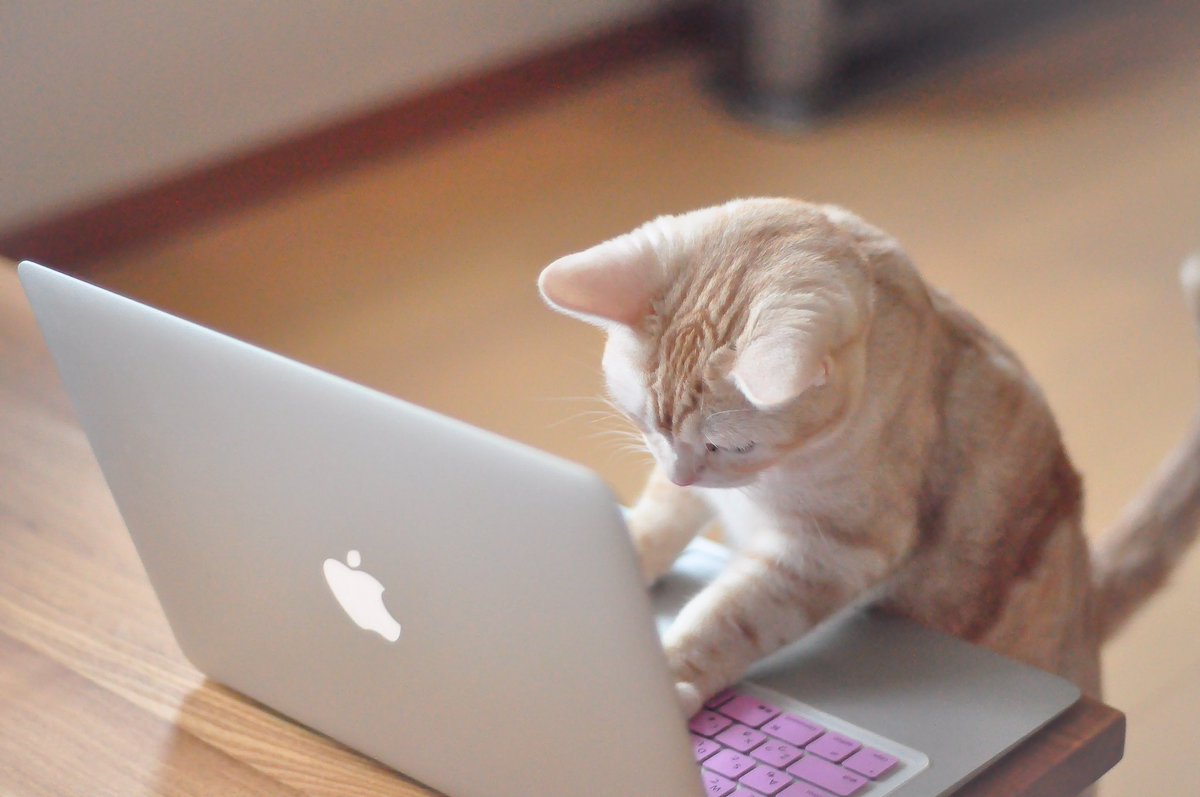 これは痛い】野良イノシシに思い切りタックルされたサラリーマンの天を 