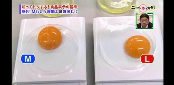 卵はSとLでは卵黄の大きさが違う('ω')
