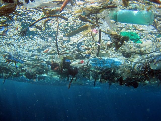 プラスチックごみが環境を悪くしてる